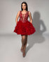 Red Feather Cocktail Dress
